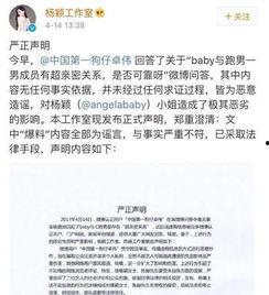 卓伟爆料问答视频大全集,揭秘娱乐圈幕后真相