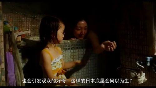 偷家族在线观看,揭秘黑暗家族的复仇与救赎